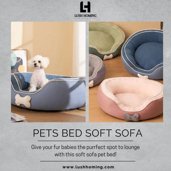 Soft sofa pet beds in various colors with a small dog lounging.