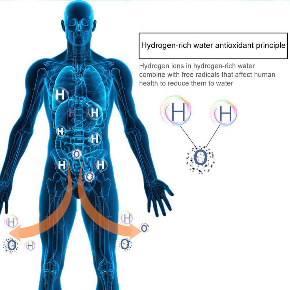 Diagram explaining hydrogen-rich water antioxidant principles showing hydrogen ions reducing free radicals in the human body