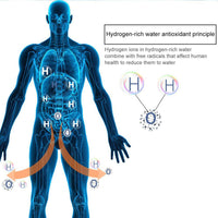 Diagram explaining hydrogen-rich water antioxidant principles showing hydrogen ions reducing free radicals in the human body