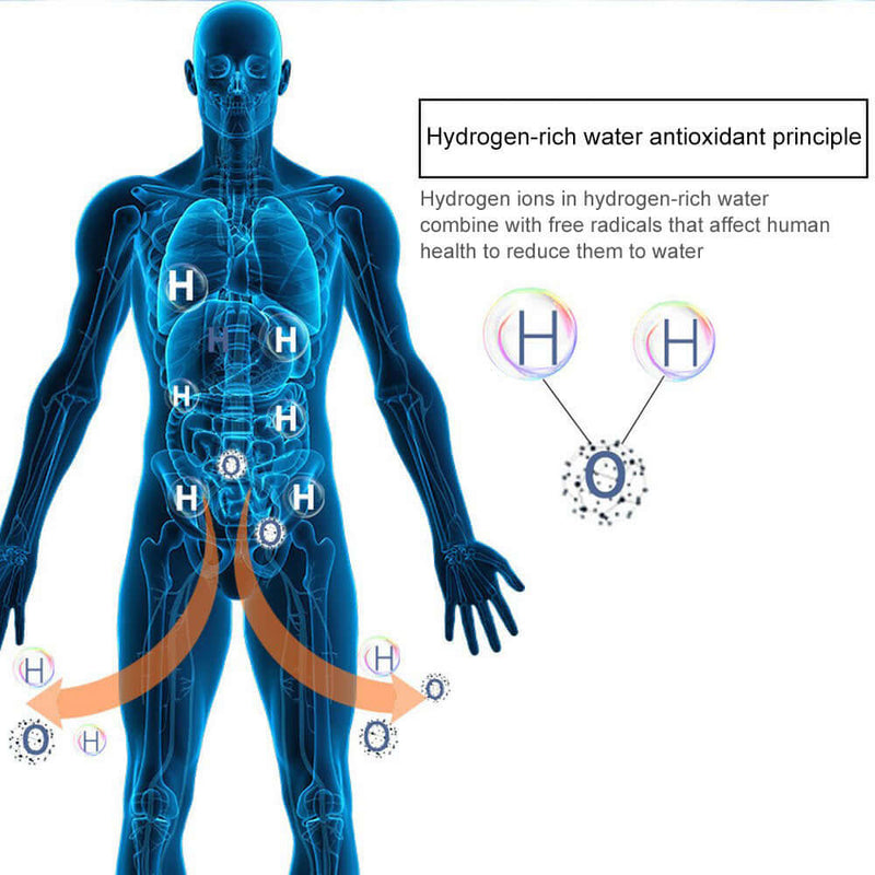 Diagram explaining hydrogen-rich water antioxidant principles showing hydrogen ions reducing free radicals in the human body