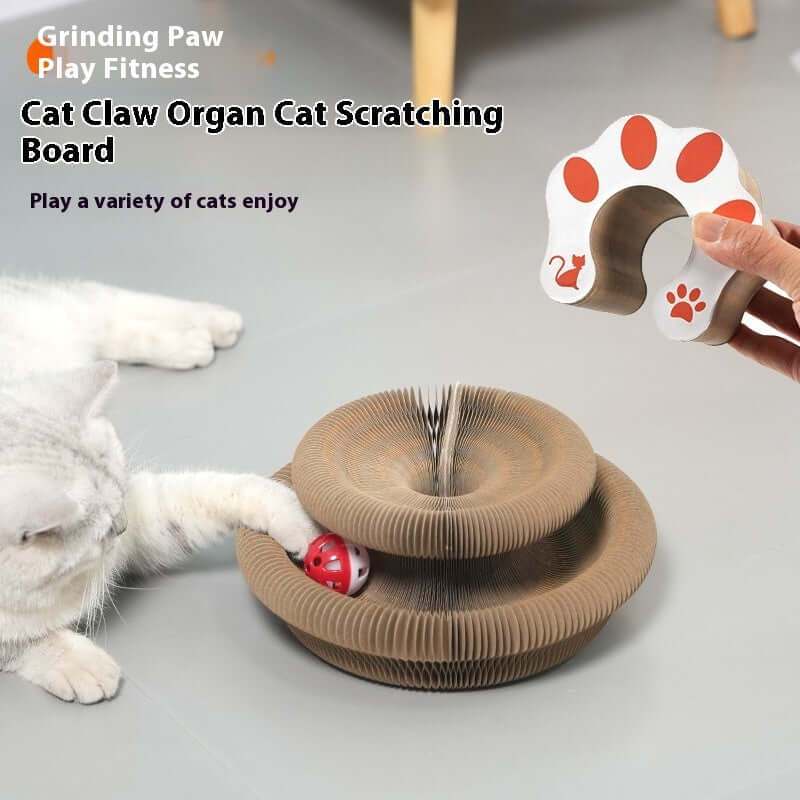 Organ Cat Scratch Board: The Purrfect Scratching Toy