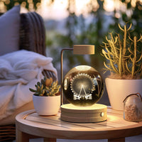 Crystal Ball Cosmic Dinosaur Indoor Night Light USB Power Warm Bedside Lamp on Wooden Table with Plants