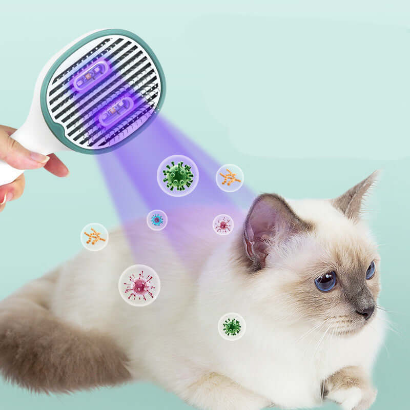 Brosse à poils pour chat, nettoyant pour stérilisation, fournitures pour animaux de compagnie